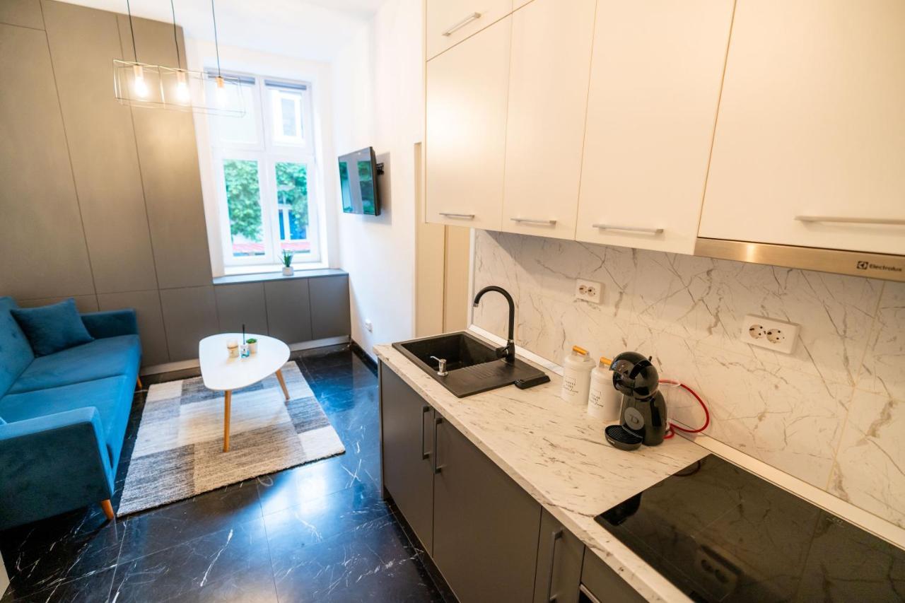 Guest Studio Apartment Брашов Екстериор снимка